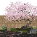Pink Blossom Tree In Garden With Bamboo Fence Stones Small Lantern And Green Plants