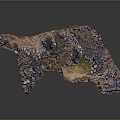 Wooden Stone Rock Landscape with Natural Texture and Green Vegetation Details