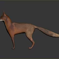 Realistic Red Fox Standing With Detailed Fur And Long Tail