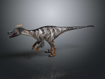Striped Theropod Dinosaur With Yellow Head Crest And Sharp Claws 3d model