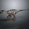 Striped Theropod Dinosaur With Yellow Head Crest And Sharp Claws