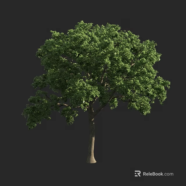 Lush Green Arbor With Dense Foliage And Strong Trunk In Natural Form 3d model