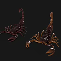 Two Detailed Realistic Scorpion Models In Brown And Golden Tones On Black Background