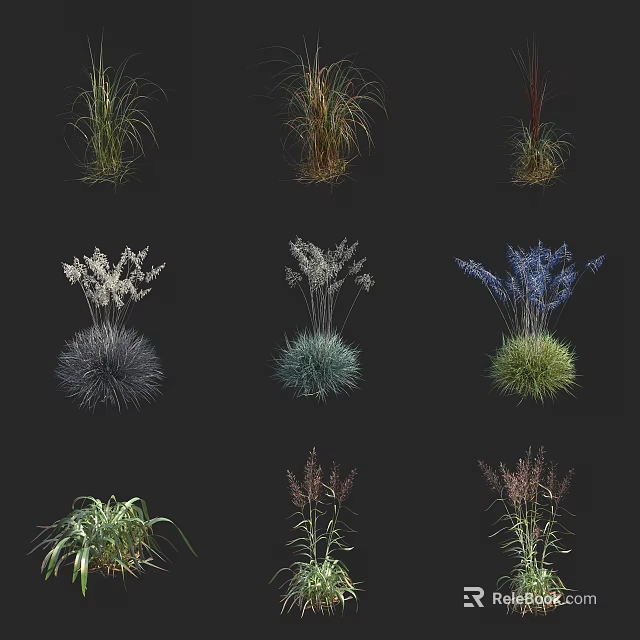 Various Decorative Grass And Flower Plants With Different Colors For Garden Landscaping 3d model 