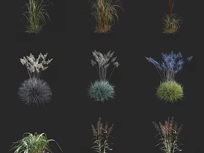 Various Decorative Grass And Flower Plants With Different Colors For Garden Landscaping 3d model