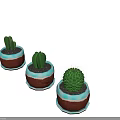 Three Indoor Decorative Cactus Bonsai Plants in Blue Brown Ceramic Pots with Patterns
