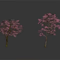 Two Blooming Cherry Blossom Trees With Pink Flowers On White Background