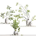 White Ceramic Vases With Green Leafy Branches And Foliage On Shelves