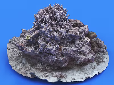 Coral Like Rock Formation With Purple Gray Color And Rough Surface On Blue Background 3d model