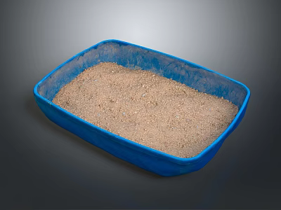 Blue Plastic Tray Filled With Natural Sand And Textured Surface 3d model