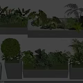 Various Green Plants In Rectangular Planters With Ferns Shrubs And Pebbles 3d model