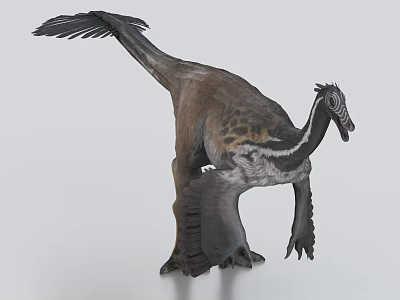 Feathered Dinosaur 3D Rendering With Wings And Tail 3d model