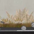 Dried Grasses And Pampas Grass Arrangement In Black Planter Gray Wall White Pebbles Round Lights