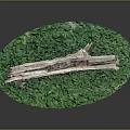 Weathered Wood with Natural Texture Cracks on Green Moss Covered Oval Base