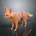 3D Animated Fox Character With Orange Brown Fur For Game And Movie Scenes