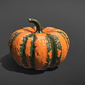 Fresh Ripe Orange and Green Striped Pumpkin on Dark Background