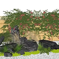 Vine With Pink Flowers Growing On Bamboo Fence Surrounded By Black Stones And Green Plants