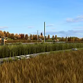 Rural Garden Landscape Featuring Golden Wheat Field Green Shrubs And Colorful Autumn Trees