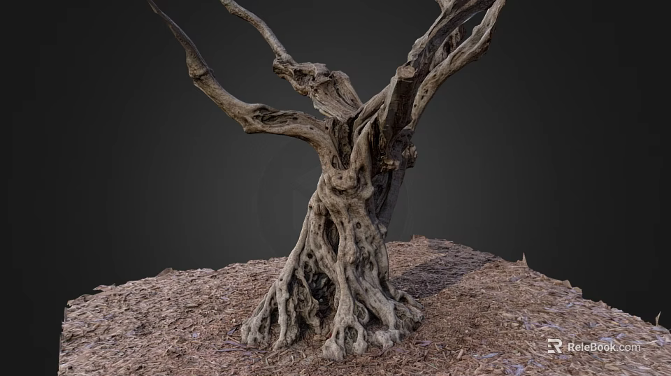 Ancient Arbor With Gnarled Trunk And Exposed Roots On Natural Ground 3d model 