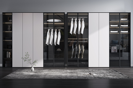 Modern wardrobe combination 3d model