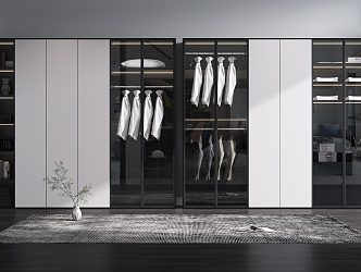 Modern wardrobe combination 3d model