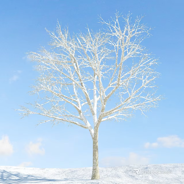 Deciduous Tree Covered With Snow Standing Under Clear Blue Sky With White Clouds 3d model 