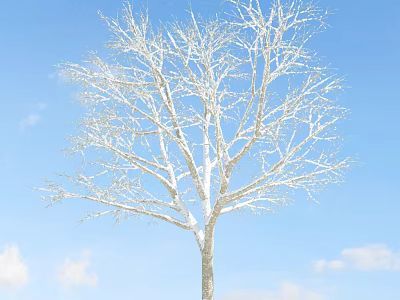 Deciduous Tree Covered With Snow Standing Under Clear Blue Sky With White Clouds 3d model