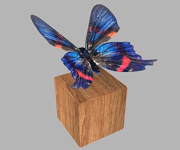 Modern Butterfly Parchment Adventure 3d model