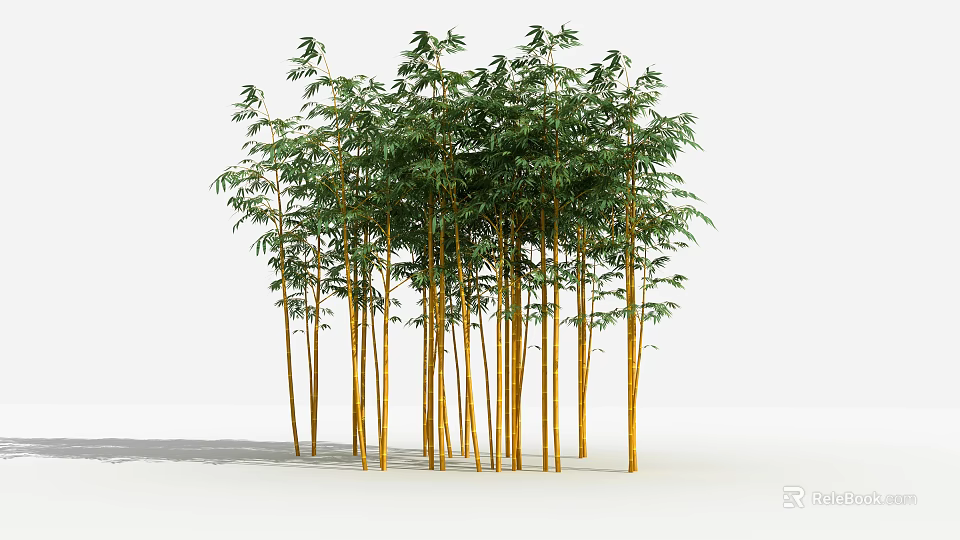 Lush Bamboo Grove With Yellow Stems And Green Leaves In Natural Scene 3d model 
