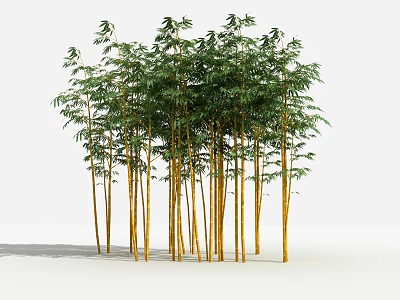 Lush Bamboo Grove With Yellow Stems And Green Leaves In Natural Scene 3d model
