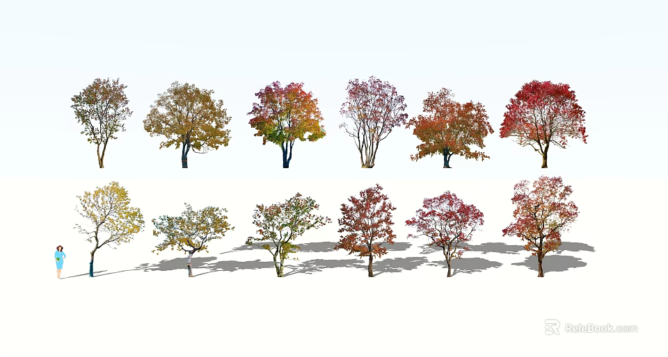 Arbor Trees Featuring Various Colored Leaves And Shadows In Landscape Design 3d model