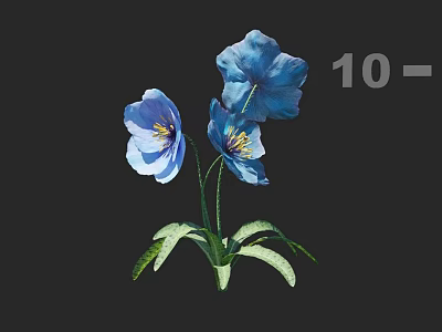 Beautiful Blue Flowers With Three Blooms Green Leaves And Black Background Design 3d model