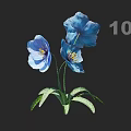 Beautiful Blue Flowers With Three Blooms Green Leaves And Black Background Design