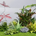Vibrant Red And Green Ferns With Various Green Plants On Grassy Ground And Rock
