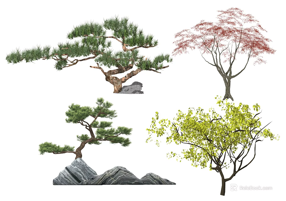 Diverse Arbor Trees Including Pine And Maple With Natural Rock Elements In Landscape 3d model 