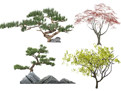 Diverse Arbor Trees Including Pine And Maple With Natural Rock Elements In Landscape 3d model