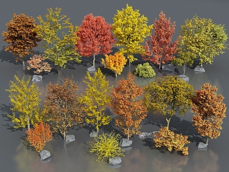 arbor ginkgo tree autumn landscape tree autumn tree yellow tree five-pointed maple willow tree 3d model