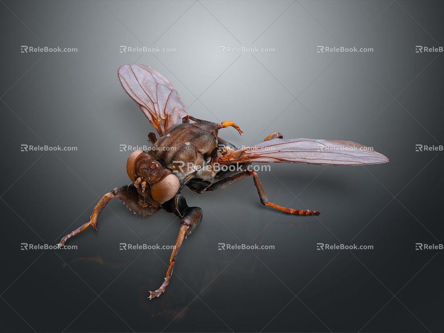 fly green head fly insect animal 3d model