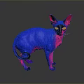 Hairless Cat With Blue And Pink Gradient Fur And Yellow Eyes On Dark Background