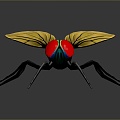 fly green head fly insect animal 3d model