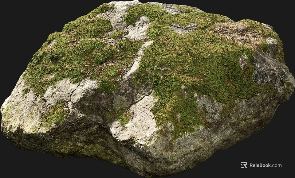 Beautiful Natural Stone Covered With Green Moss And Rough Organic Texture 3d model 