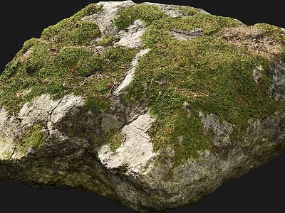 Beautiful Natural Stone Covered With Green Moss And Rough Organic Texture 3d model