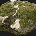 Beautiful Natural Stone Covered With Green Moss And Rough Organic Texture