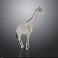 Detailed Giraffe Model Featuring Long Neck Spotted Fur And Mane Details