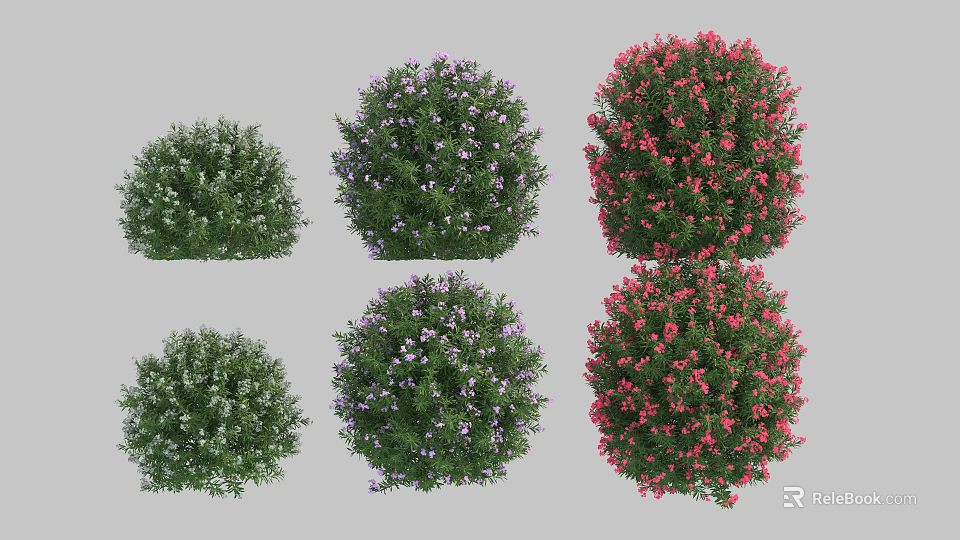 Colorful Flowering Shrubs With Green Purple Red Blooms For Garden Landscaping 3d model 