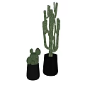 Two Decorative Cactus Potted Plants In Black Pots For Indoor Home Decor
