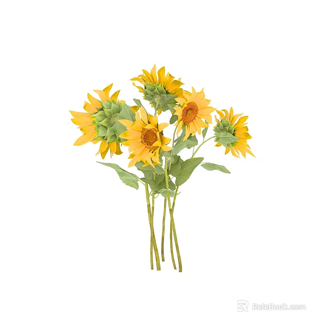 Beautiful Sunflower Bouquet With Yellow Petals Green Leaves And Stems 3d model 