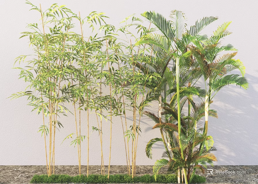 Tall Bamboo Plants With Green Foliage And Palm Trees In Outdoor Garden 3d model 