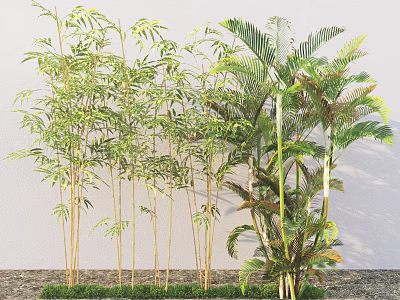 Tall Bamboo Plants With Green Foliage And Palm Trees In Outdoor Garden 3d model