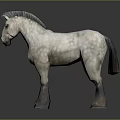 Realistic White Horse Model with Dark Mane Dark Hooves and Reflective Gray Background